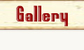 gallery, pictures and images page button